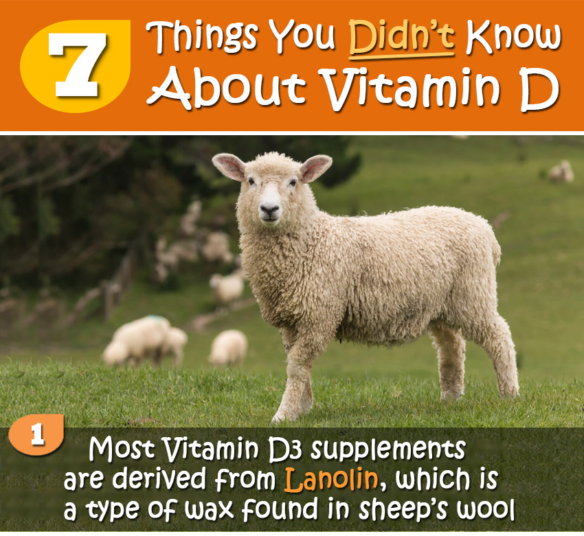 7 Things You Didn't Know About Vitamin D [Infographic]